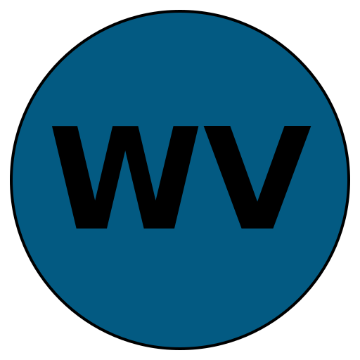 WiseVoyage